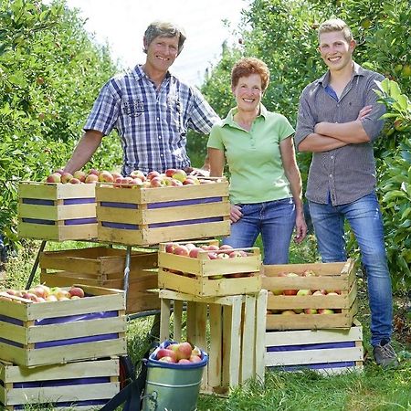 Apartament Winzerhof Woerner Durbach Zewnętrze zdjęcie