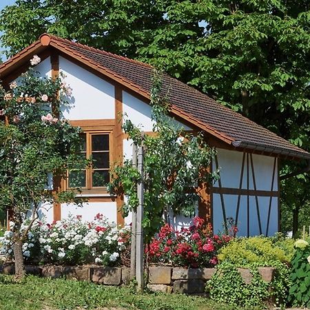 Apartament Winzerhof Woerner Durbach Zewnętrze zdjęcie