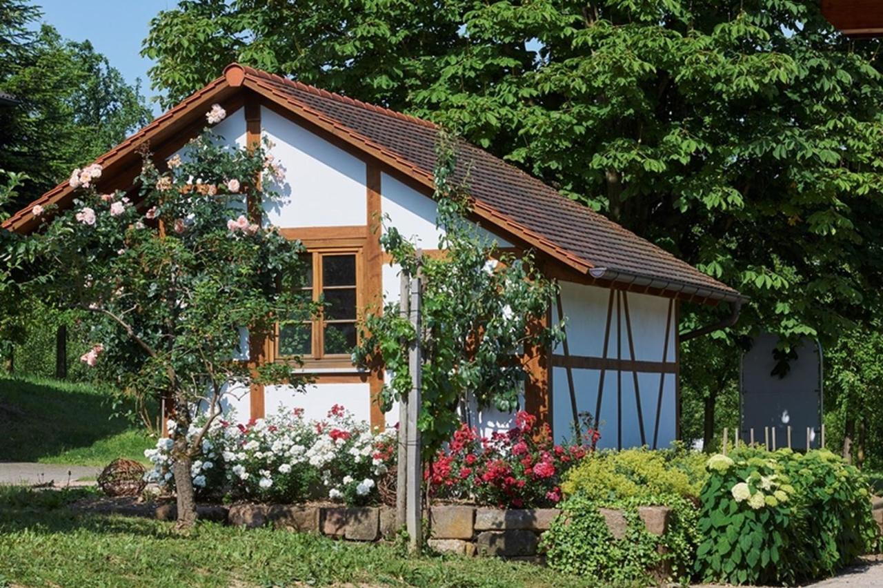 Apartament Winzerhof Woerner Durbach Zewnętrze zdjęcie